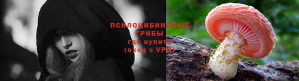 spice Покров