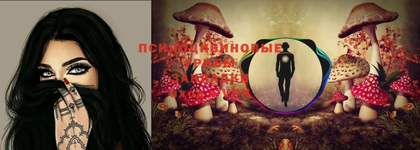 spice Покров